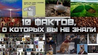 10 ИНТЕРЕСНЫХ ФАКТОВ, О КОТОРЫХ ВЫ НЕ ЗНАЛИ (выпуск #1)