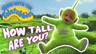   Teletubbies Full Episodes | 24/7 LIVE Stream | Shows For Kids