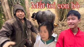 CĂNG,hai cháu Ngọc,hoa mồ côi,cháu Ngọc gây tai họa khiến ông khóc nức nở vì mất oan con bò..!