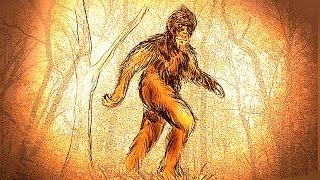 IS BIGFOOT PARANORMAL? - That Bigfoot Show with Jason McLean