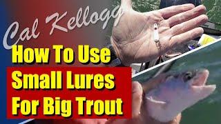 How To Use Small Lures For Big Trout