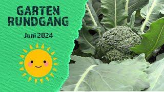 Gartenrundgang im Juni 2024