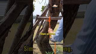 Master the Hitch Knot – A Quick, Easy, and Secure Solution for Tying Rope!
