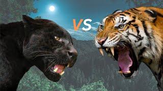 Black Panther VS Tiger- Black Jaguar Leopard VS Tiger Fight.