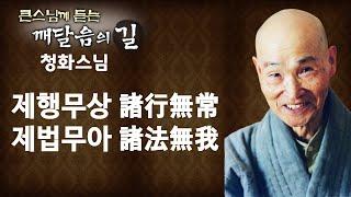 제행무상 제법무아 諸行無常 諸法無我 _ 청화스님 [큰스님께 듣는 깨달음의 길]
