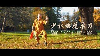 Shaolin Single Plum Blade (少林梅花单刀) by Master Shi Yandi (释延荻)