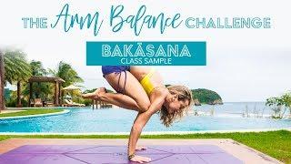 Arm Balance Yoga Challenge -- Bakasana, Crane Pose, Class One Sample with Kino