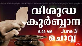 Holy Mass I Malayalam Mass I June 3 I Tuesday I Qurbana I 6.45 AM