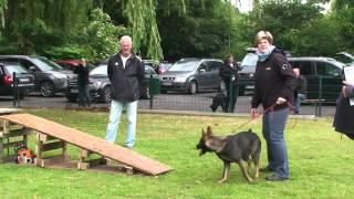 Informationsfilm zur Wesensüberprüfung im Verein für Deutsche Schäferhunde (SV) e.V.