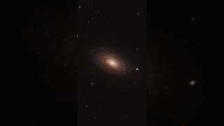 The Sunflower Galaxy  captured with my 11” telescope #telescope #astronomy #space