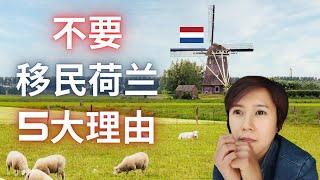 (Eng Subs) 荷兰 | 不要移民荷兰的原因 | Why you shouldn't move to the Netherlands