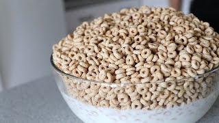 Massive Cheerios Challenge! (4000 Calories)