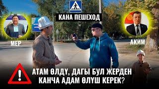 Атам өлдү, дагы бул жерден канча адам өлүш керек?