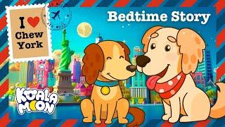 Children's Bedtime Story | Hector & Sunny In Chew York City  #BedtimeStoriesForKids