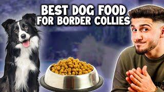 Best Dog Foods for Border Collie