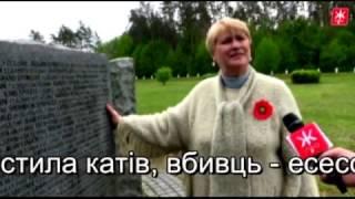 Светлана Воробьёва, штрихи к портрету