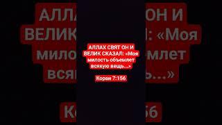 АЛЛАХ СКАЗАЛ | #quran #islam #религия