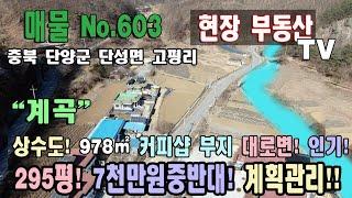 커피샵 부지 펜션부지 전원주택부지 가든 부지 영업용부지 계곡 주변 978㎡ 295평 7천만원중반대 충주호유람선 남한강 주변 광역상수도 충북 단양군 단성면 고평리 토지 매매