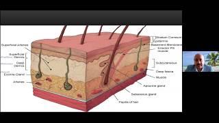 Prof. Ashraf Badawi webinar about pathogenesis of skin aging and how to design a rejuvenation plan