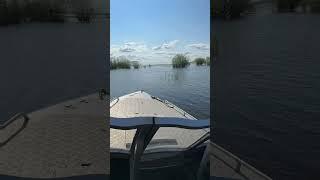 Так плыл. А щас дома уже. #якутия #рекалена #половодье #басылаев