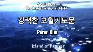 보혈기도문(강력한 3회) - Peter. Kim