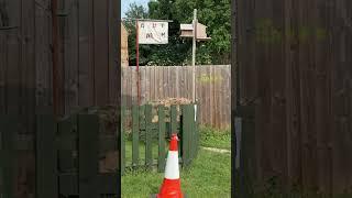 Nn3 community garden. Trying to make some of you feel safer.
