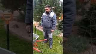 Состояние Газона.#газон #хайпсад #посадка #уходзасадом1 #озеленение #сад