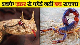 दुनिया के सबसे जहरीले जानवर | Most Poisonous Animals in the World