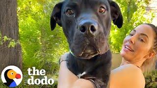 Whitney Cummings Brought Home A Dog With Two Left Legs | The Dodo