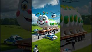 ️ Evolution of Cat : Caterpillar  ns model maker #cat #cute #love #shorts