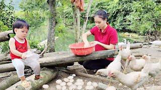 17 year old mute single mother: Harvesting chicken eggs to sell for a living