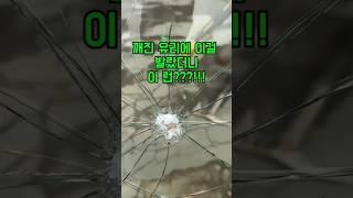 꺠진 차 유리부터 깨진 핸드폰 액정까지, 이거 하나면 말끔하게 복원됩니다. 미라클다인 자동차유리복원제!!전문가도 놀란 복원 꿀템. 지금 최저가 할인중이니 바로 확인하세요