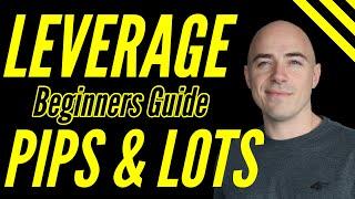 Forex Leverage for Beginners Explained (lot sizes and pips)