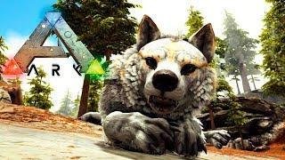 ВАРГИ ЛЮДОВОЛКИ В ARK Survival Evolved Обзор