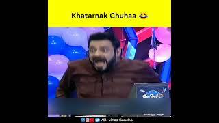 Khatarnak Chuhaa  | Bery Dangerous | #trending #viral #shorts | Spyder bhai