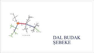 ELEKTRİK ENERJİSİ DAĞITIMI  DERS-12 | Dağıtım Şekillerine Göre Şebekeler