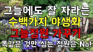 그늘정원을 화려하고 시원하게 만드는 수백가지의 야생화들 (그늘 식물) - Best Shade Plants