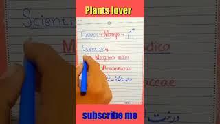 Mango botanical name &Family || Mango family name easy tips #botany #plants #shorts