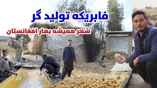 فابریکه تولیدگردرشهر جلال آباد،صادرات گر به خارج ازافغانستان| Traditional Jaggery Making Afghanistan