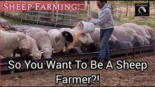 Sheep Farming: 14 Things You Need To Start Your Own Sheep Farm