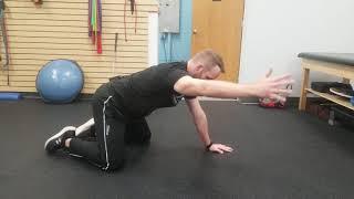 Shoulder Impingement Exercise | Quad Double Flexion | Chesterfield Chiropractor