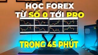 Học Forex Từ Số 0 Tới PRO Trong Vòng 45 Phút (Toàn Tập)