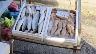 Walking through a Saturday market in Katerini - Greece  4K