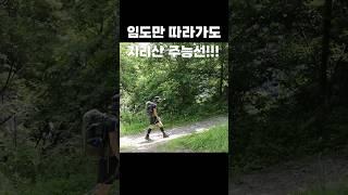 임도를 걸었을 뿐인데 지리산 벽소령이 눈앞에 뜨악?! 음정마을 코스 5.2km