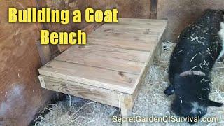 Building a Goat Bench