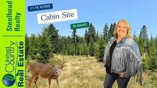 11.76 Acre Cabin/Recreation Site for Sale in Orofino, Idaho