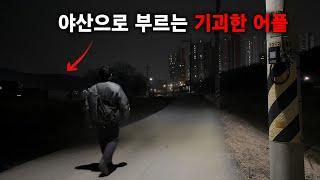 란더노티카는 정말 위험할까? 하루 종일 해봤습니다