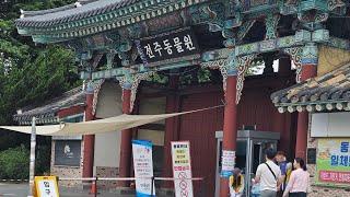 Trip To Jeonju Zoo Dream Land, Animal , Amusement Park 전주 동물원 여행