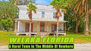 Welaka, Florida: A Rural Town in the Middle of Nowhere