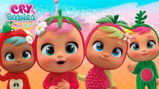  TUTTI FRUTTI BABIES  CRY BABIES  MAGIC TEARS  GANZE FOLGEN  CARTOONS für KINDER auf Deutsch